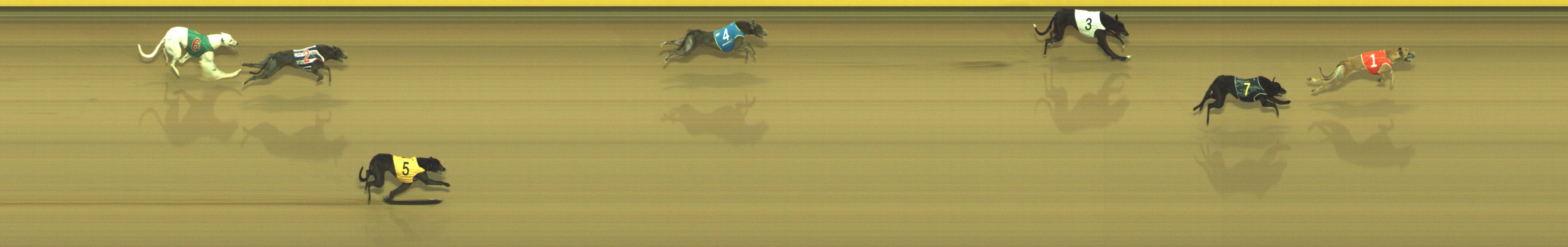 Race result finish photo